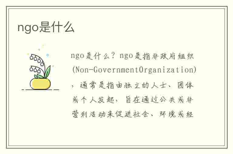 ngo是什么(ngo是什么意思)